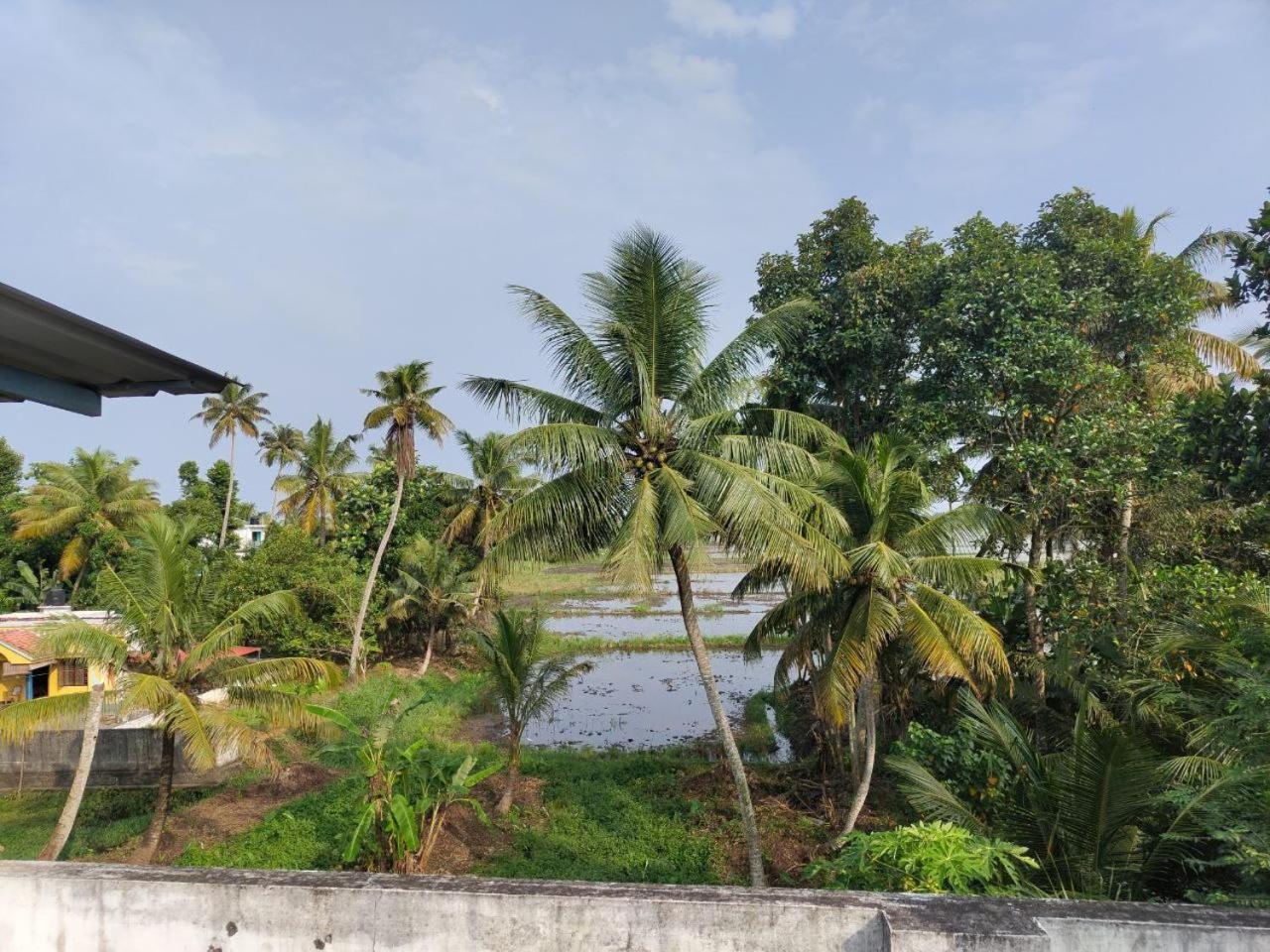 Paddy N Canal Homestay Alappuzha Ngoại thất bức ảnh