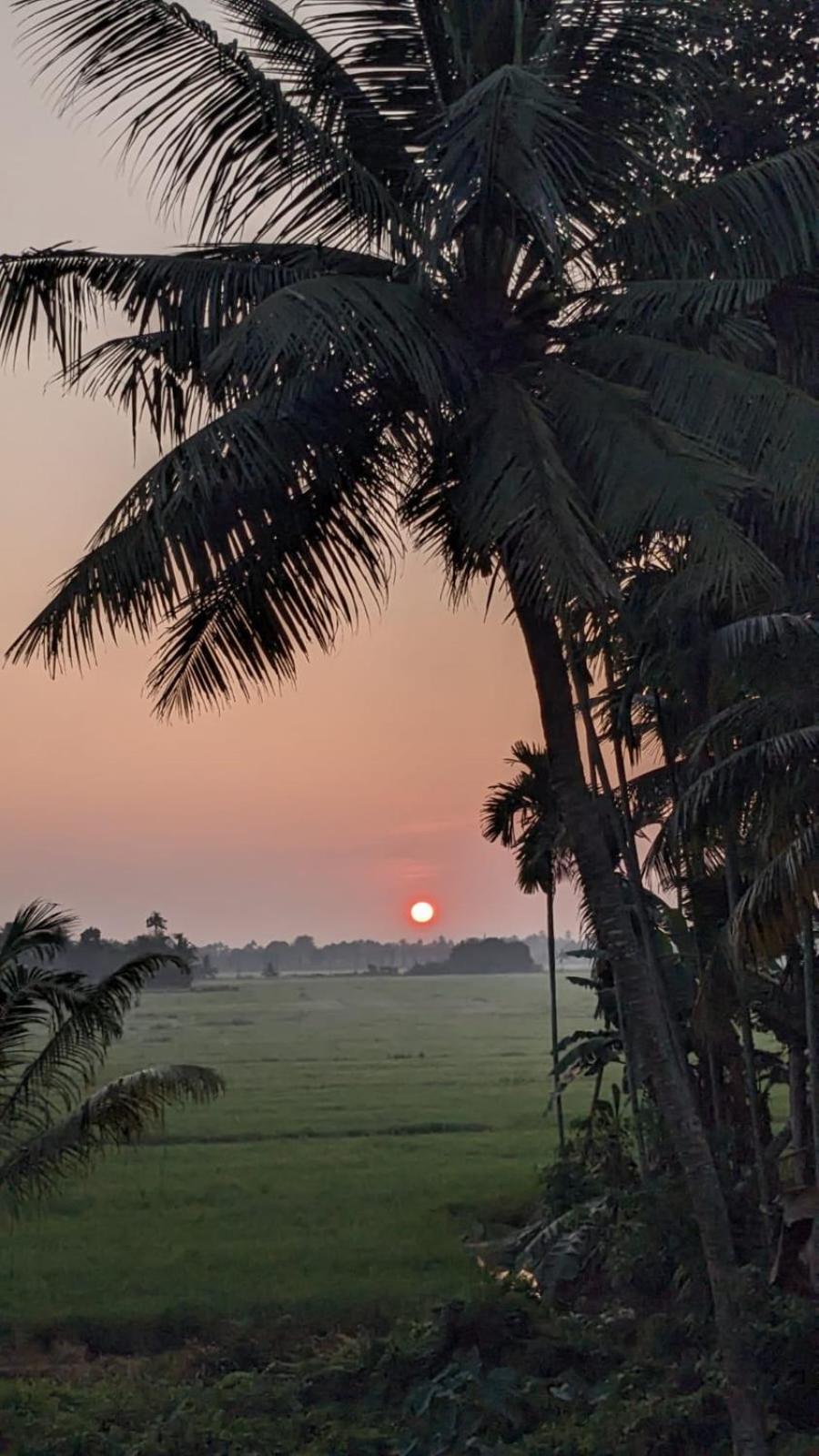 Paddy N Canal Homestay Alappuzha Ngoại thất bức ảnh
